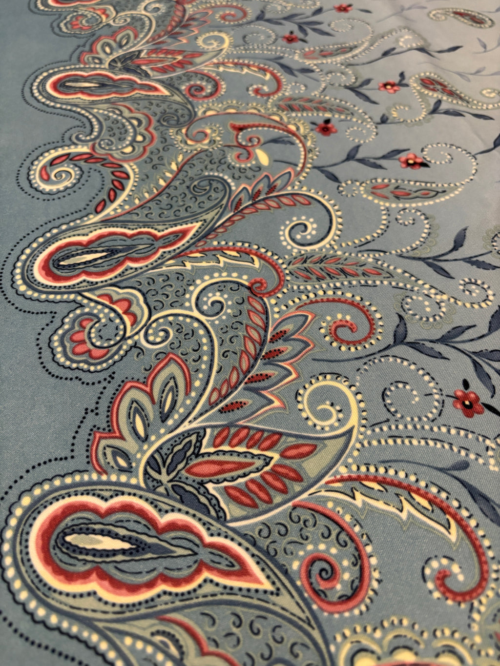 PAISLEY BORDER SILKY PRINT